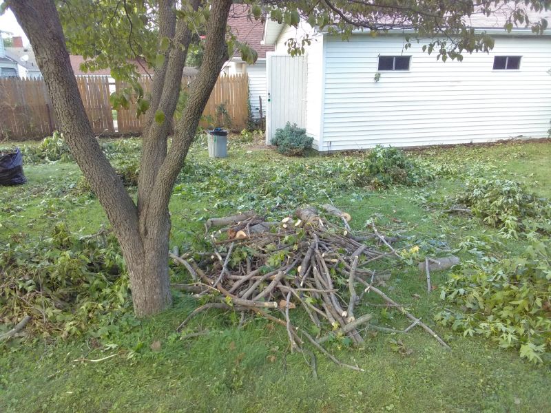 Yard after Leaf Removal