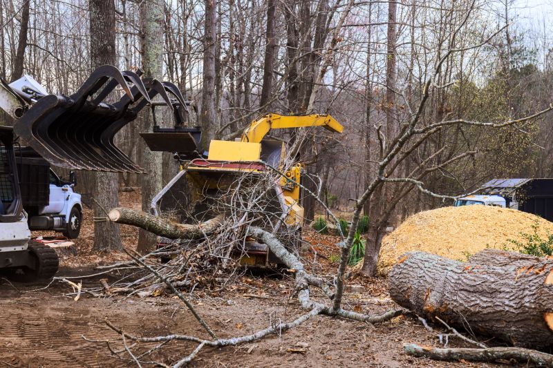 Tree Removal Equipment in Action
