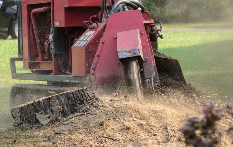 Stump Grinding Service
