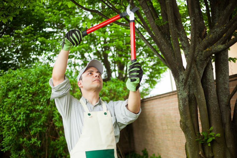 Permits and Regulations